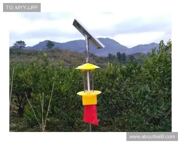 K8凯发(中国)天生赢家首页引领行业创新，打造绿色安全的线上娱乐生态系统